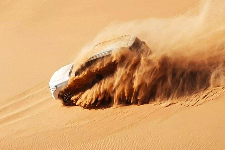 Dubai Desert Escape: Safari Red Dunes, Falcon, Camel & BBQ Dinner