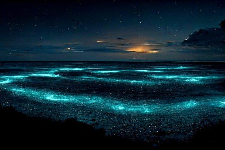 Hoteller i nærheden af Bioluminescent Bay Tour