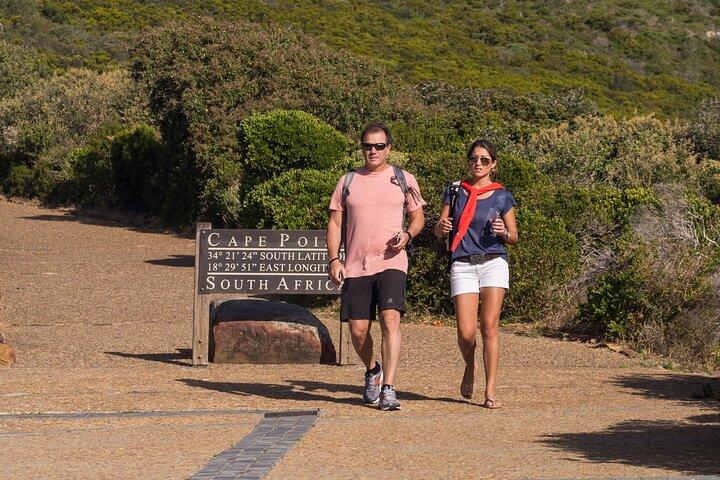 Halvdagstur til Cape Point og Boulders Beach