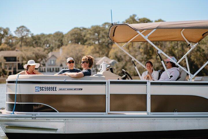 Privat Hilton Head delfin tur (op til 6 passagerer)