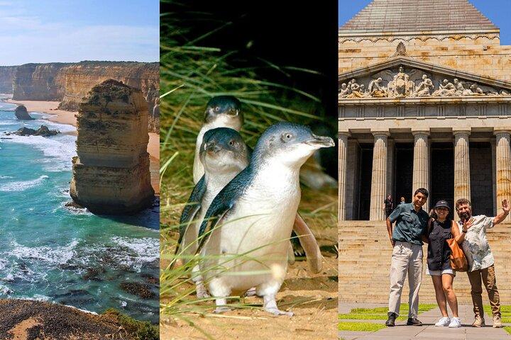 3 dages kombination: Great Ocean Road, Penguin Parade og gratis bytur