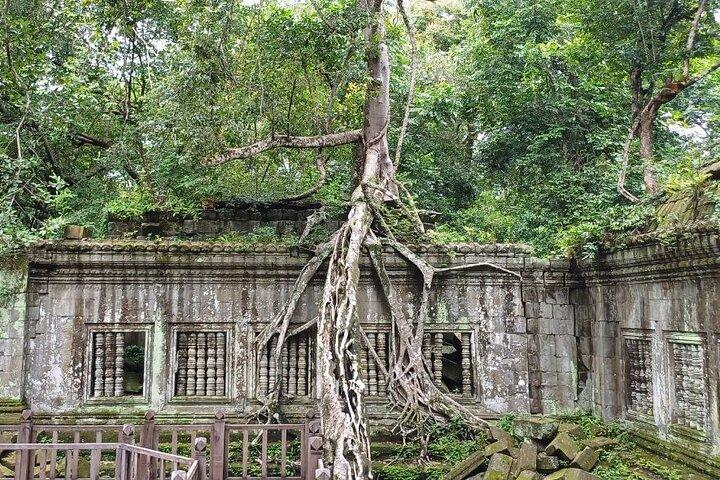 Il tempio in rovina di Beng Mealea