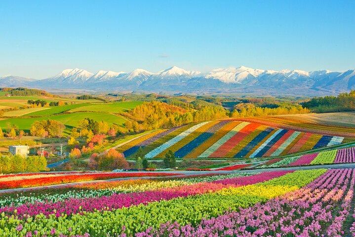 Hoteller i nærheden af Hokkaido Biei Blue Pond Furano Flower Farm