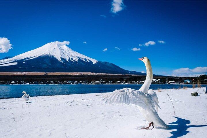 Monte Fuji e Hakone Excursão de um dia de Tóquio com Ropeway Experience