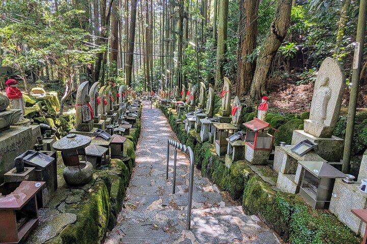 Private ganztägige Nara Tour Hozanji Tempel Seilbahn und Nara Park
