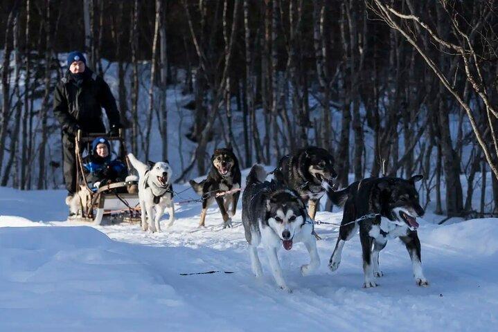 4hr Traîneau à chiens dans la vallée de Gargia