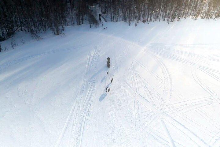 4hr Traîneau à chiens dans la vallée de Gargia