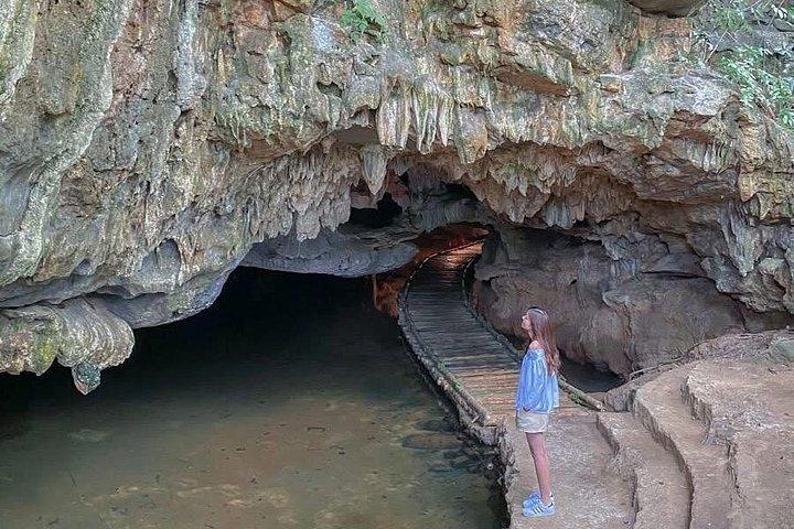 Ninh Binh Private Tour: Tam Coc, Bich Dong, Thung Nham Bird Park