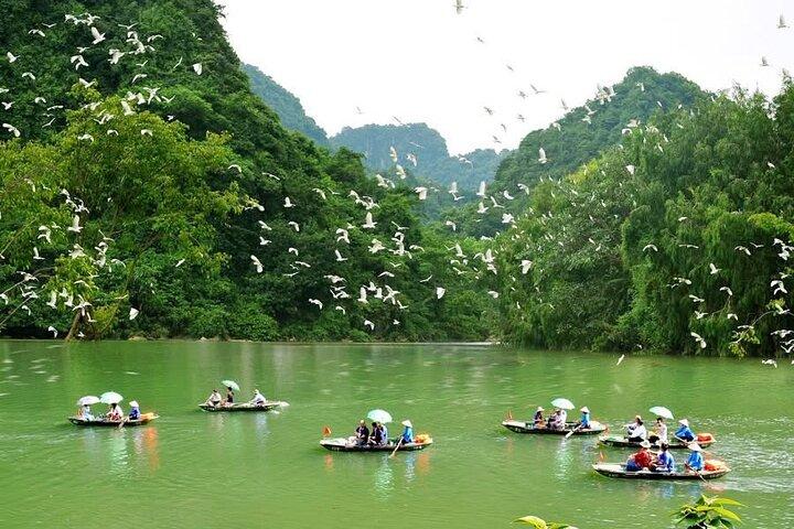 Tour Privado Ninh Binh : Tam Coc, Bich Dong, Thung Nham Bird Park