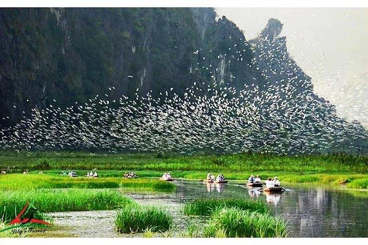 Ninh Binh Private Tour: Tam Coc, Bich Dong, Thung Nham Bird Park