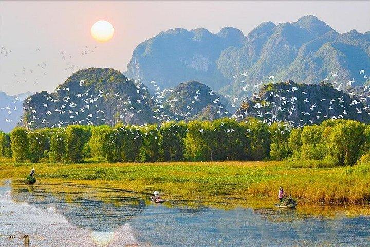 Ninh Binh Private Tour: Tam Coc, Bich Dong, Thung Nham Bird Park