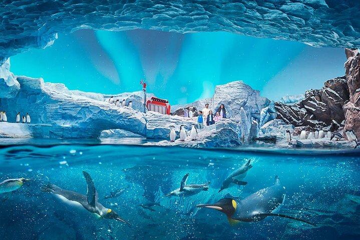 SeaWorld Admission in Abu Dhabi