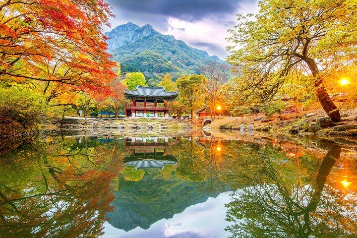 ソウル発内張山国立公園紅葉日帰りツアー