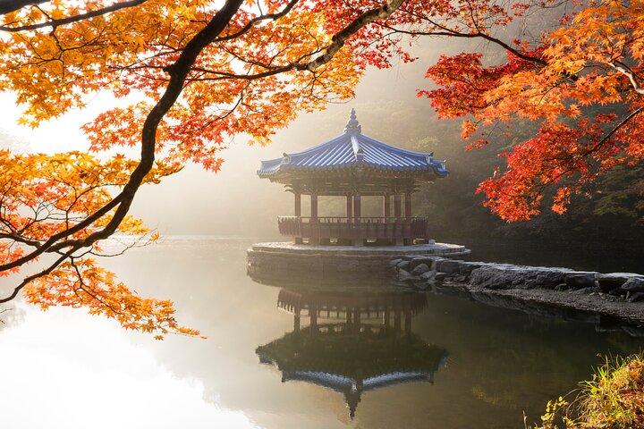 ソウル発内張山国立公園紅葉日帰りツアー