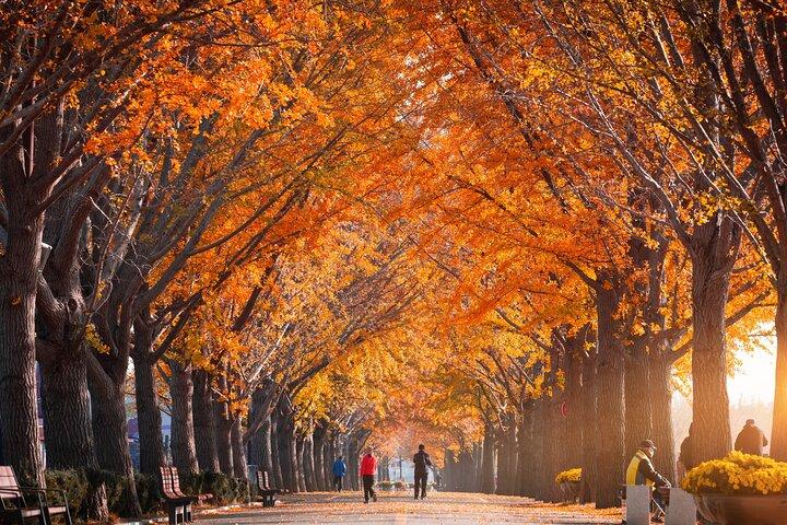 ソウル発内張山国立公園紅葉日帰りツアー