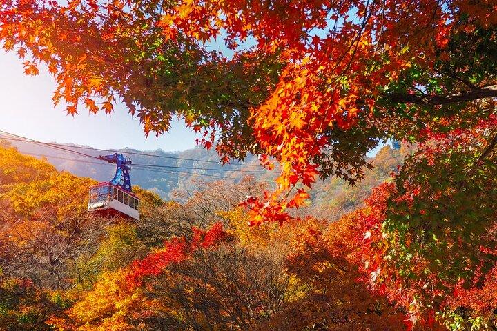 ソウル発内張山国立公園紅葉日帰りツアー