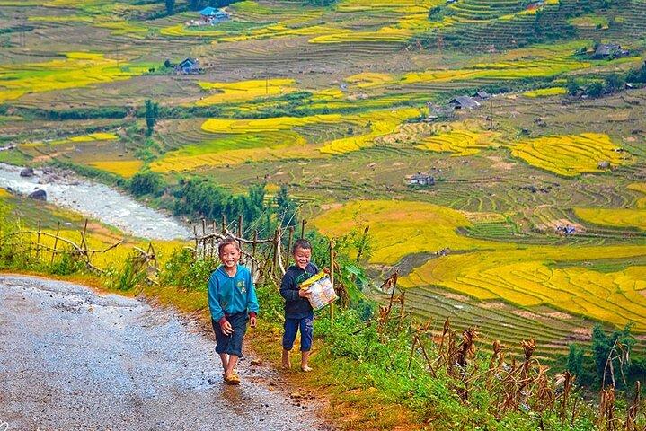 Sapa Scenic Trekking through Rice Terraces & Local Villages