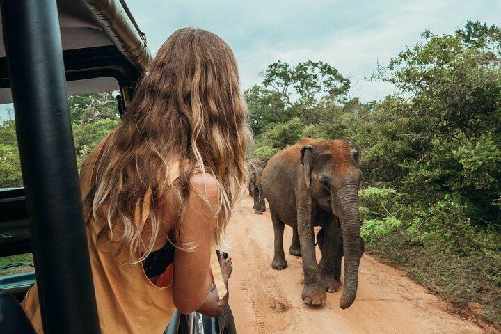 Hoteller i nærheden af Ella to Mirissa Shuttle & Udawalawe national safari