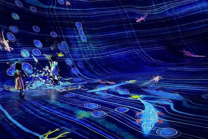 チームラボ現象アブダビ