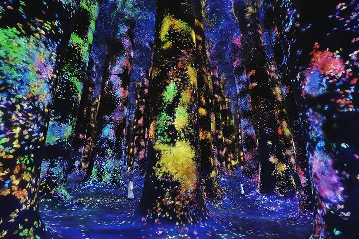 チームラボ現象アブダビ