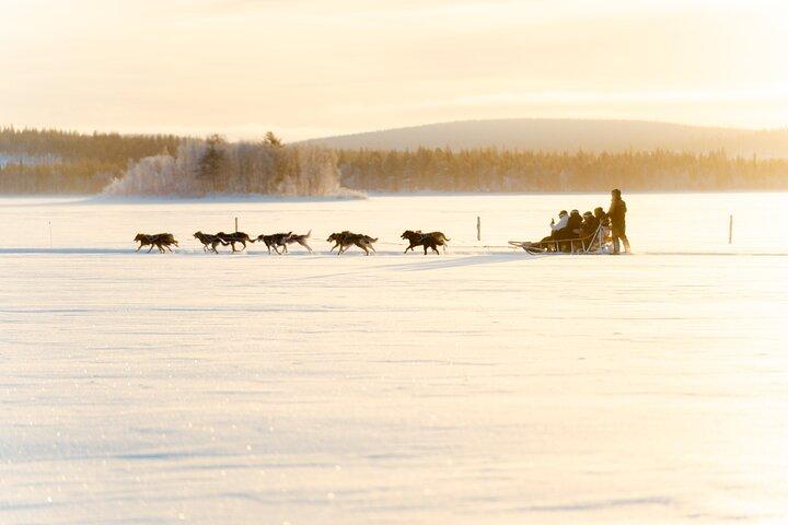 Rovaniemi Insider : 5 km Husky Selbstfahrer Abenteuer