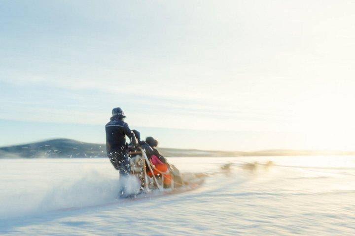 Rovaniemi Insider : ハスキー・セルフドライブ・アドベンチャー（5km）