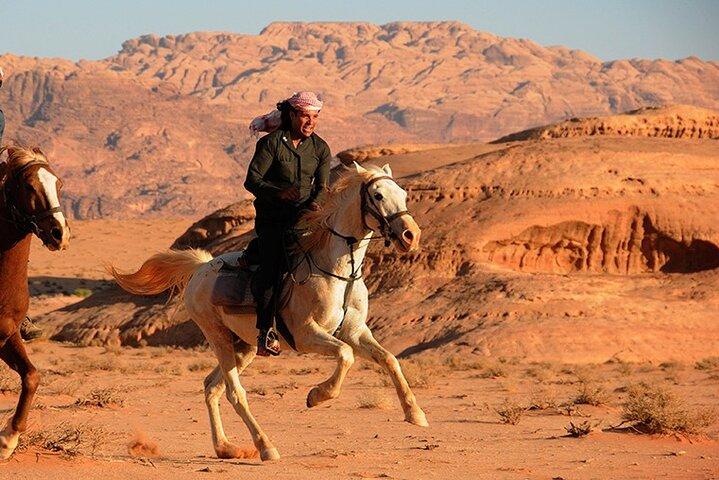 Hurghada: Arabian Horseback Ørken og Det Røde Hav