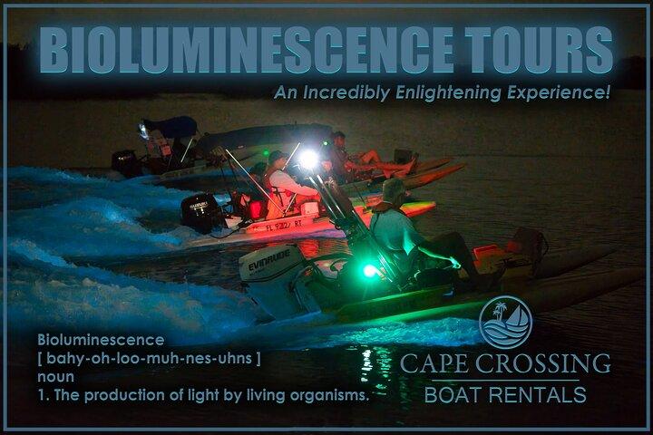 Bioluminescence Night Craigcat Tours