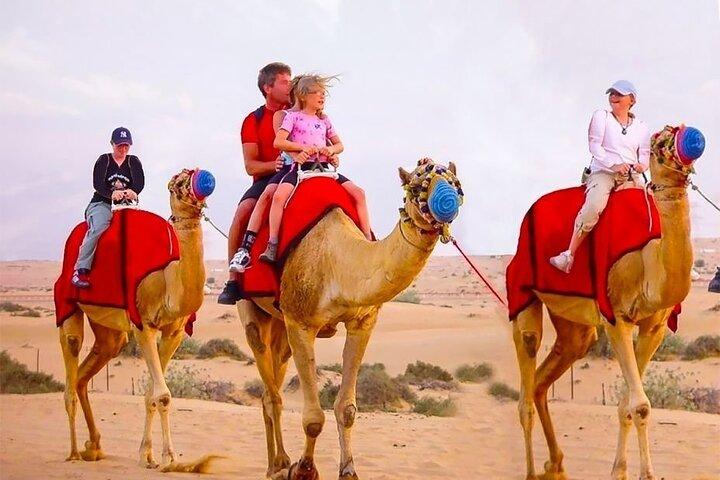 Safari privado en el desierto de Dubai con cena de barbacoa hasta 6 personas
