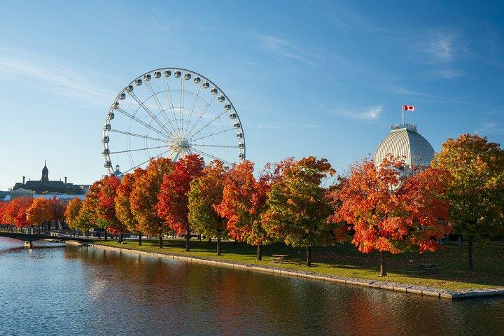 Den ultimative private Montréal City Tour: Kultur, Udsigt, Lokal smag