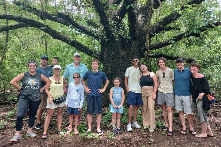 Excursion en bateau à travers la mangrove de Tamarindo