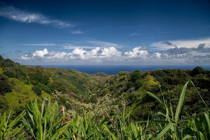 マウイ島：農場からテーブルランチまでハナアドベンチャーへの道