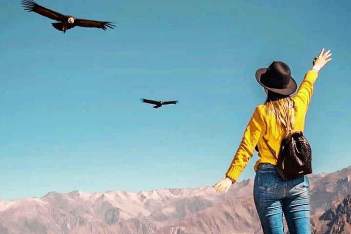Tour di un'intera giornata Mirador de los Cóndores a Chonta da Cusco