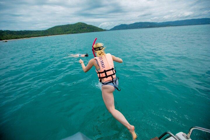 Excursão de snorkeling de ilha de golfinhos e porcos de Koh Samui