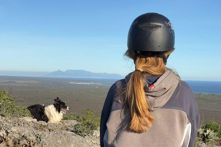 West Coast farm and nature ride