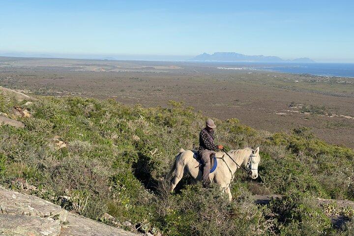 West Coast farm and nature ride
