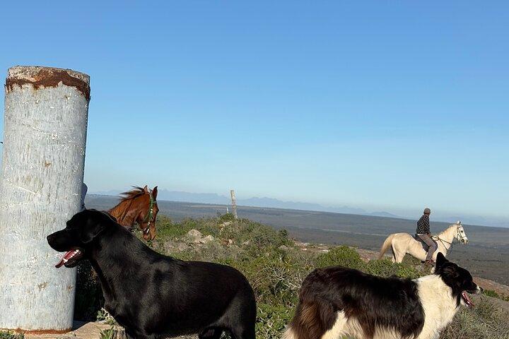 West Coast farm and nature ride