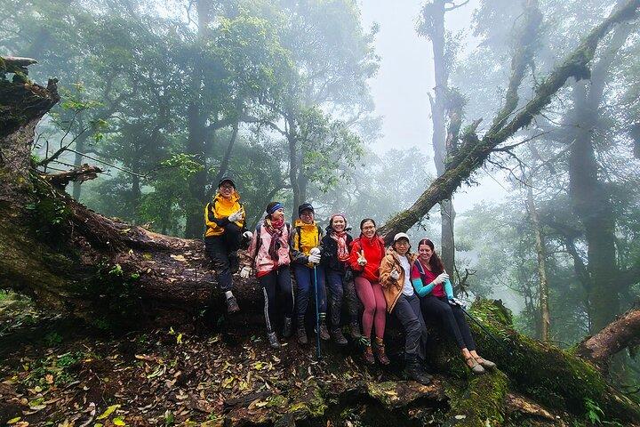 Ta Lien Son Forest Trek – 2 - en dag i naturen