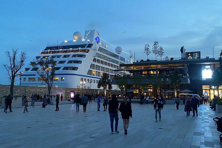 Istanbul Private Shore Excursion: City Highlights by Luxury Van