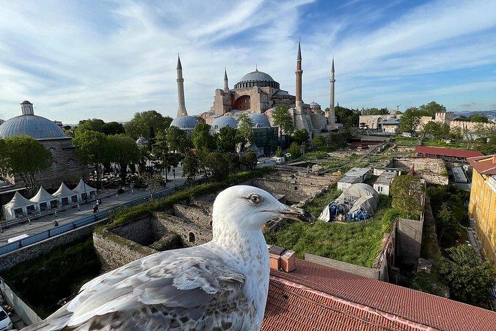 Istanbul Private Shore Excursion: City Highlights by Luxury Van