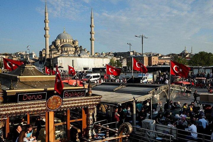 Istanbul Private Shore Excursion: City Highlights by Luxury Van
