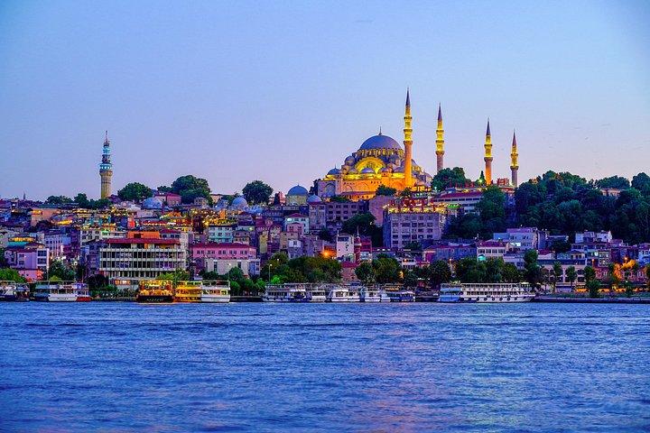 Istanbul Private Shore Excursion: City Highlights by Luxury Van
