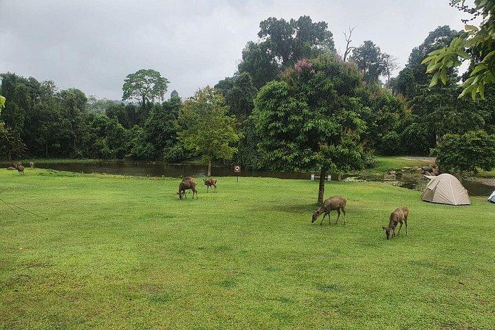 バンコク：カオヤイ国立公園日帰り旅行（入場料込み）