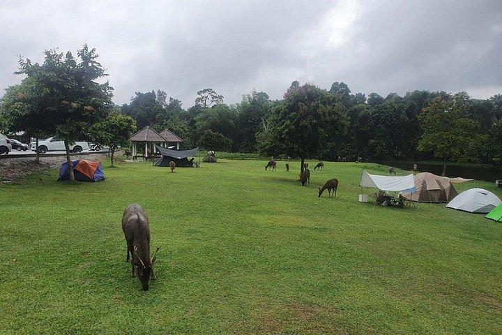 バンコク：カオヤイ国立公園日帰り旅行（入場料込み）