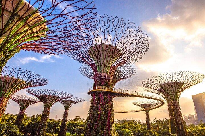 Singapore Gardens by the Bay E-Ticket : Flower Dome + Cloud Forest