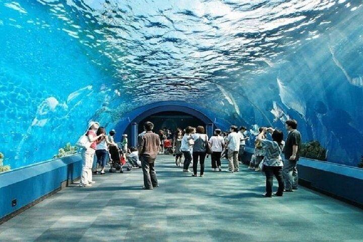 Skip-the-Line: Entradas para o Underwater World Pattaya