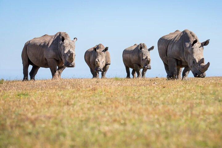 5 Day Garden Route Road Trip au départ de Cape Town Addo Safari Caves