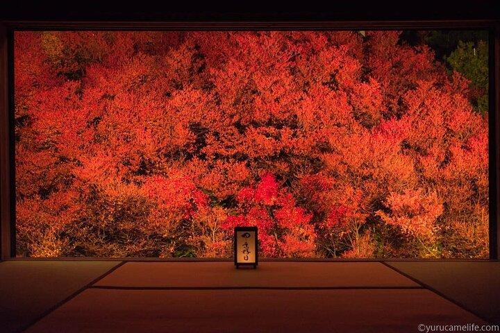 Excursão de 1 noite e 2 dias para Kinosaki Onsen e Templo