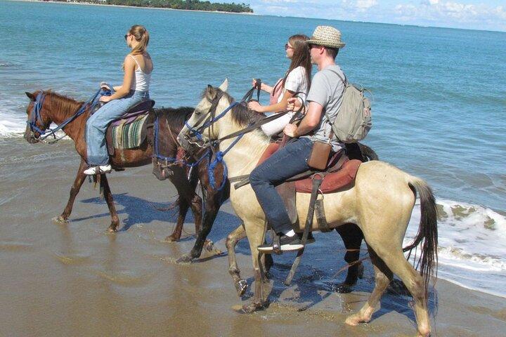 Puerto Plata: Horse riding: Adventure on the beach, river and jungle