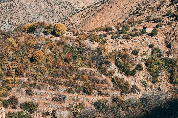 Ourika Valley & Atlas Mountains Day Trip from Marrakech